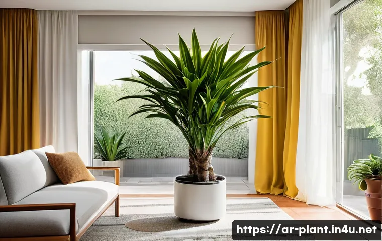 드라세나 종류별 키우는 법 - **A Vibrant Dracaena Oasis in a Modern Living Room**
    A bright, clean, and modern living room fil...