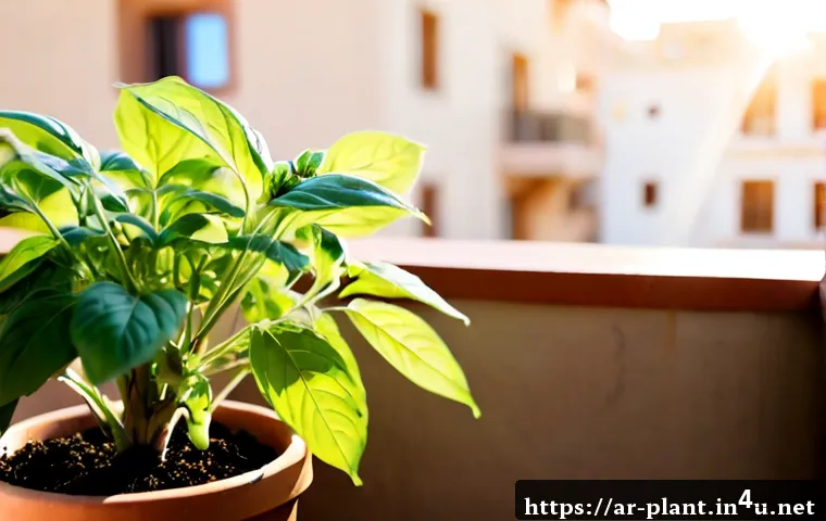 식물 성장 속도 빠르게 하는 법 - Photorealistic close-up of a healthy basil plant growing quickly in a terracotta pot on a sunlit apa...